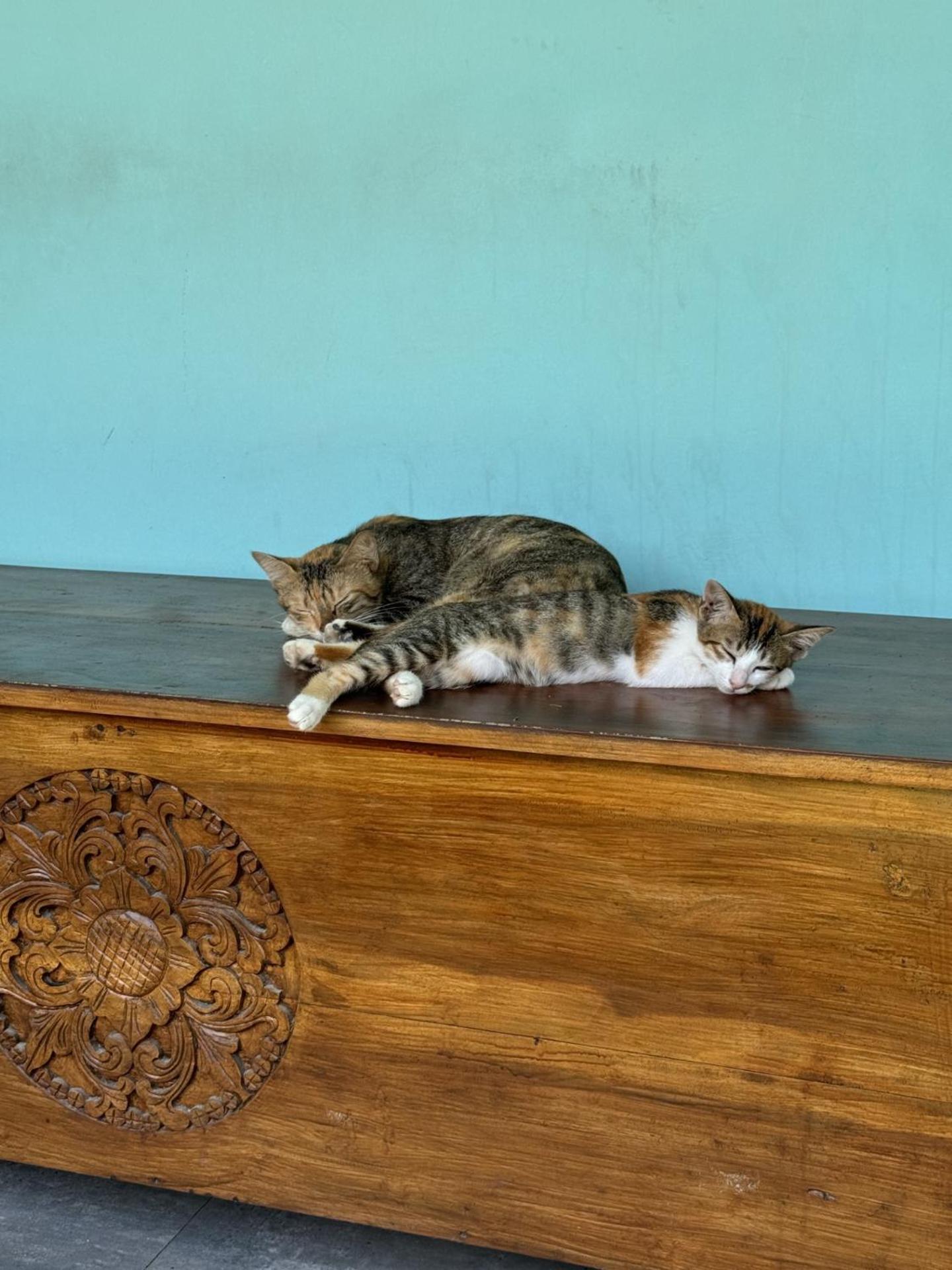 Secret Spot Surf And Stay Kuta  Ngoại thất bức ảnh